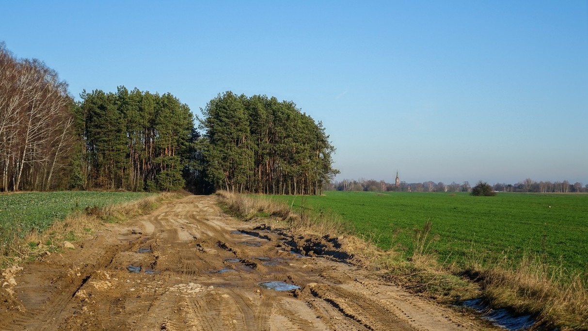 Listopad w obiektywie - zdjęcie 29