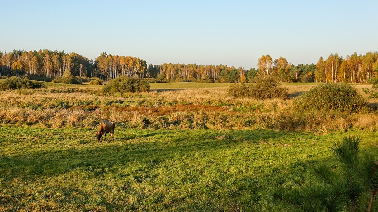 Podróż przez jesienną Polskę - zdjęcie 4