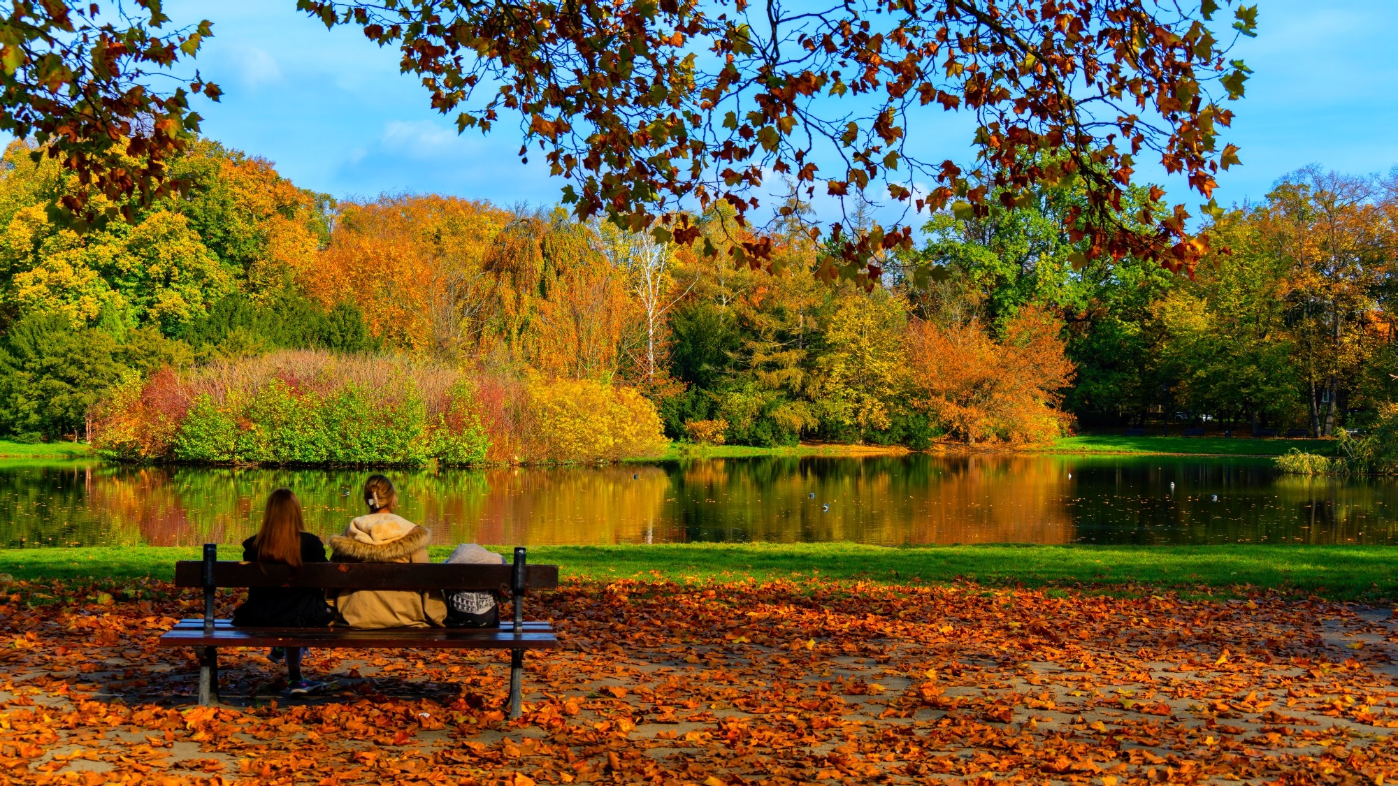 Piękny listopad - zdjęcie 6