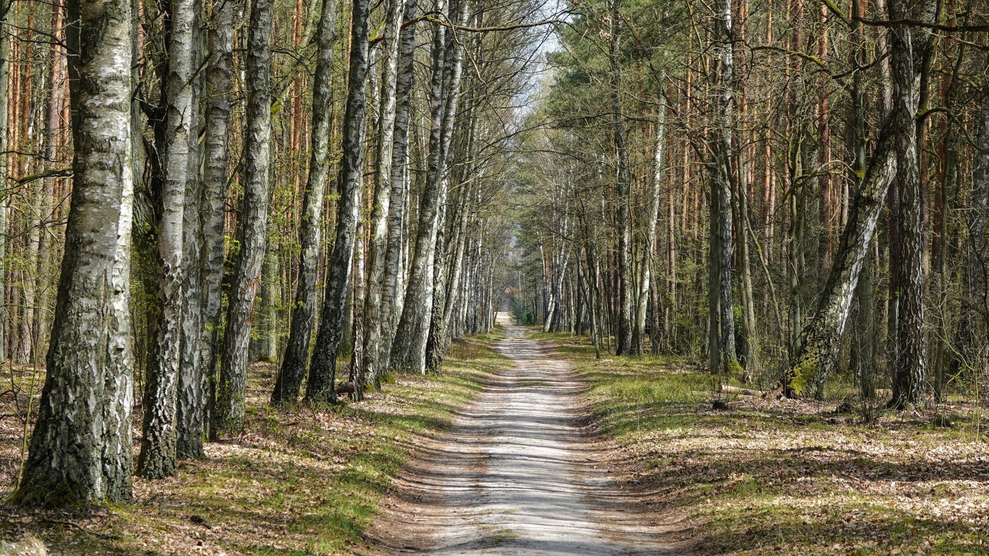 Kwiecień w obiektywie - zdjęcie 35