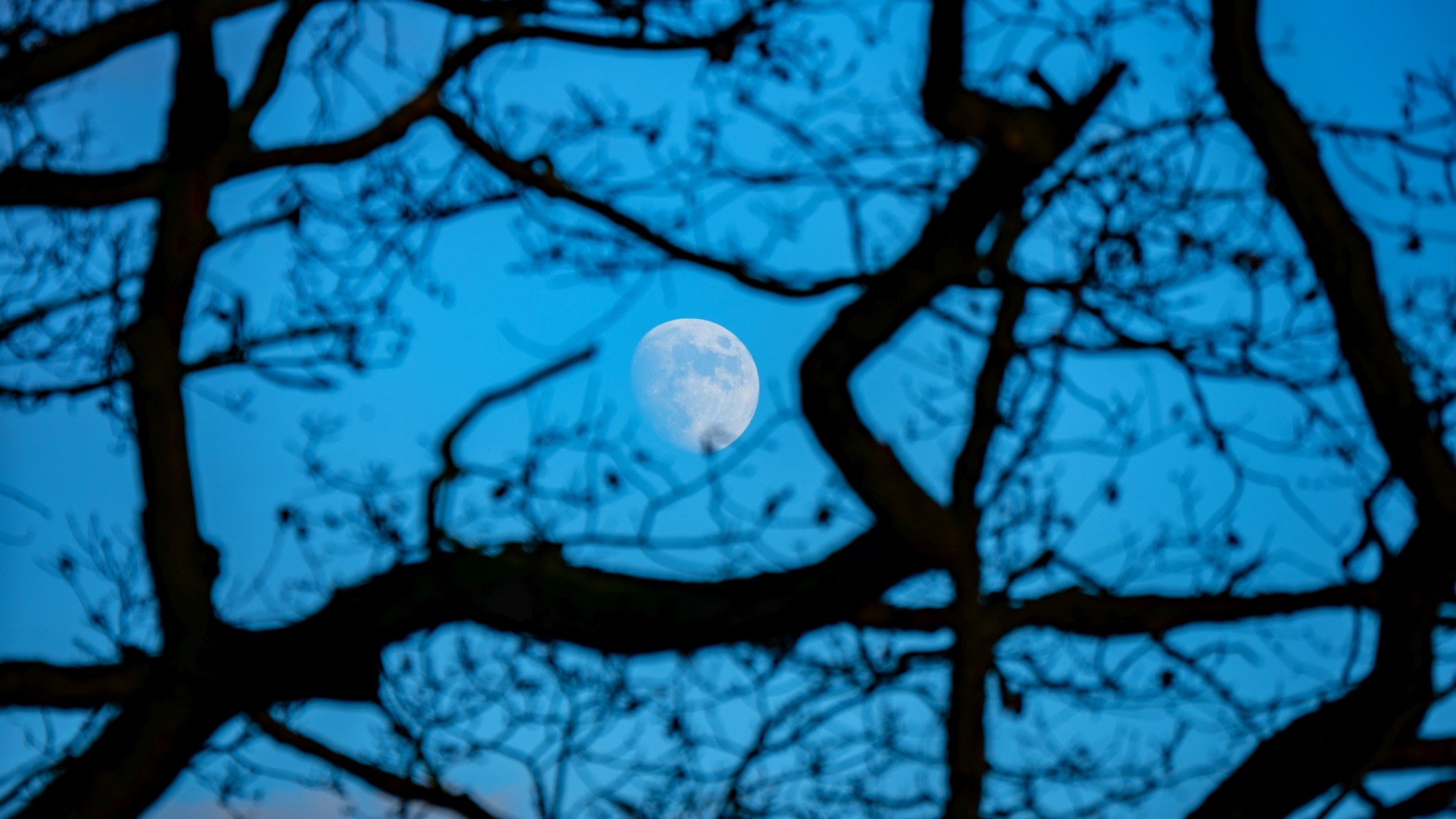 Różne oblicza zimy - zdjęcie 6