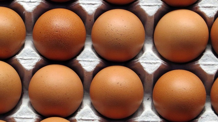 Zarządzono kontrole ferm jaj i drobiu w Holandii po informacjach o skażeniu środkiem owadobójczym