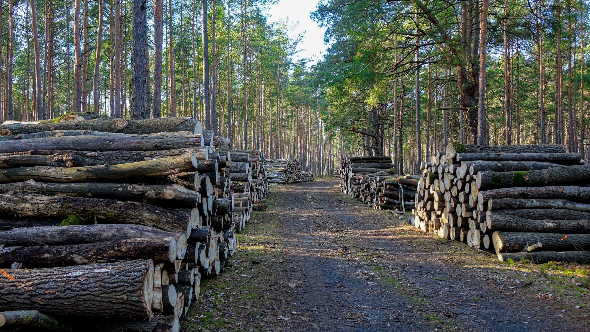 Listopad w obiektywie - zdjęcie 33