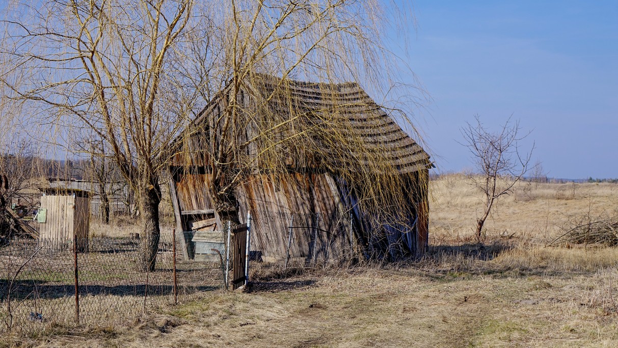 Marzec w obiektywie - zdjęcie 5