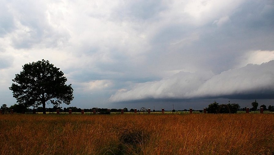 Wał rotorowy w rejonie Elbląga w woj. warmińsko-mazurskim. Fot. Info Meteo Elbląg.