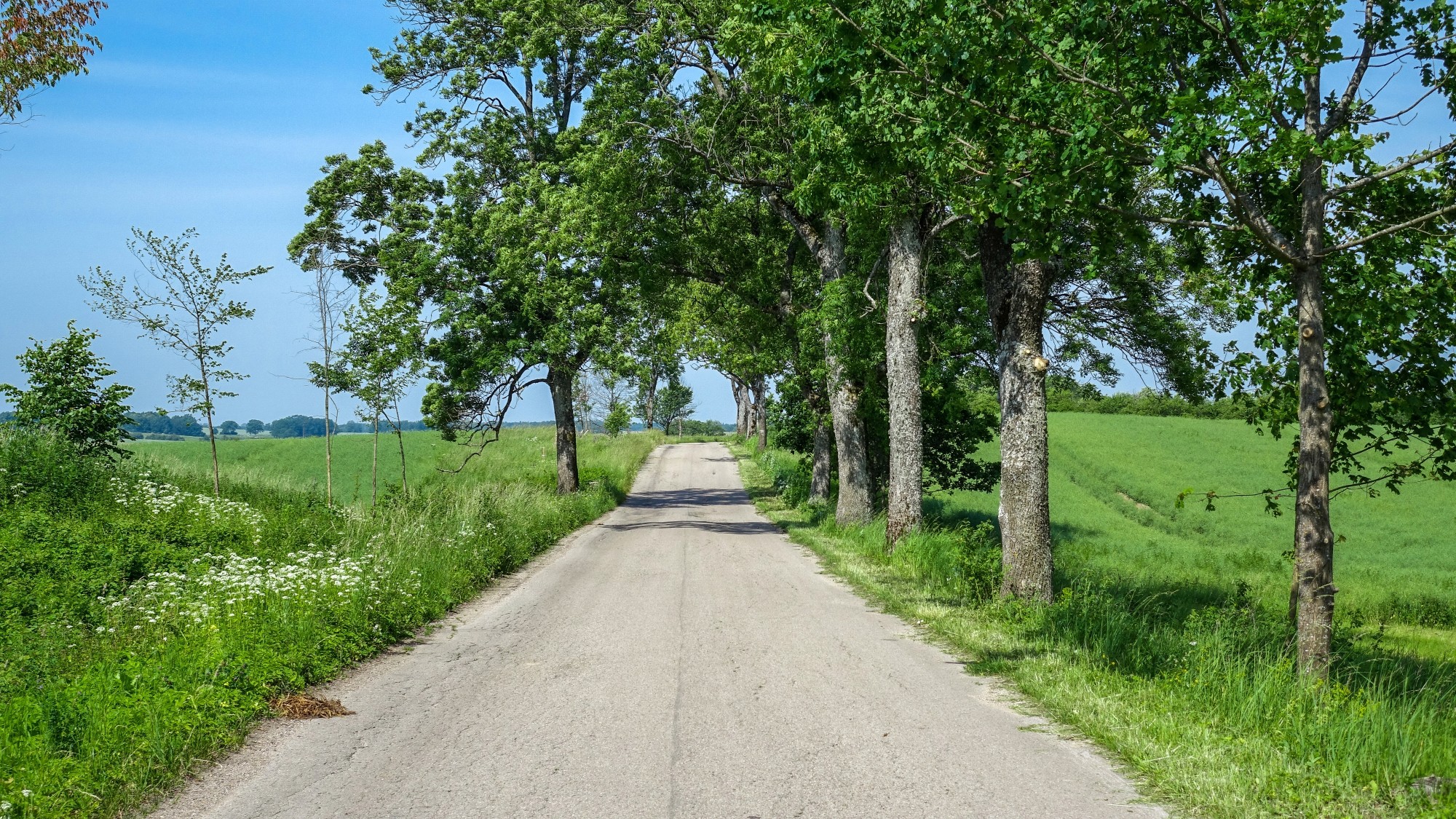 Wakacyjne podróże - zdjęcie 13