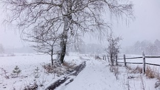 21.03.2021 10:14 Miała się zacząć wiosna, a jest zima. Sypie śnieg, leży go nawet 10 cm, a termometr wskazuje minus 13 stopni