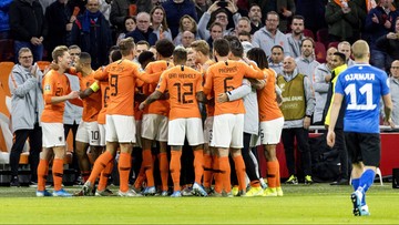 Holandia - Polska: Żelazna obrona i holenderski Hansi Flick. Wizytówka "Oranje"