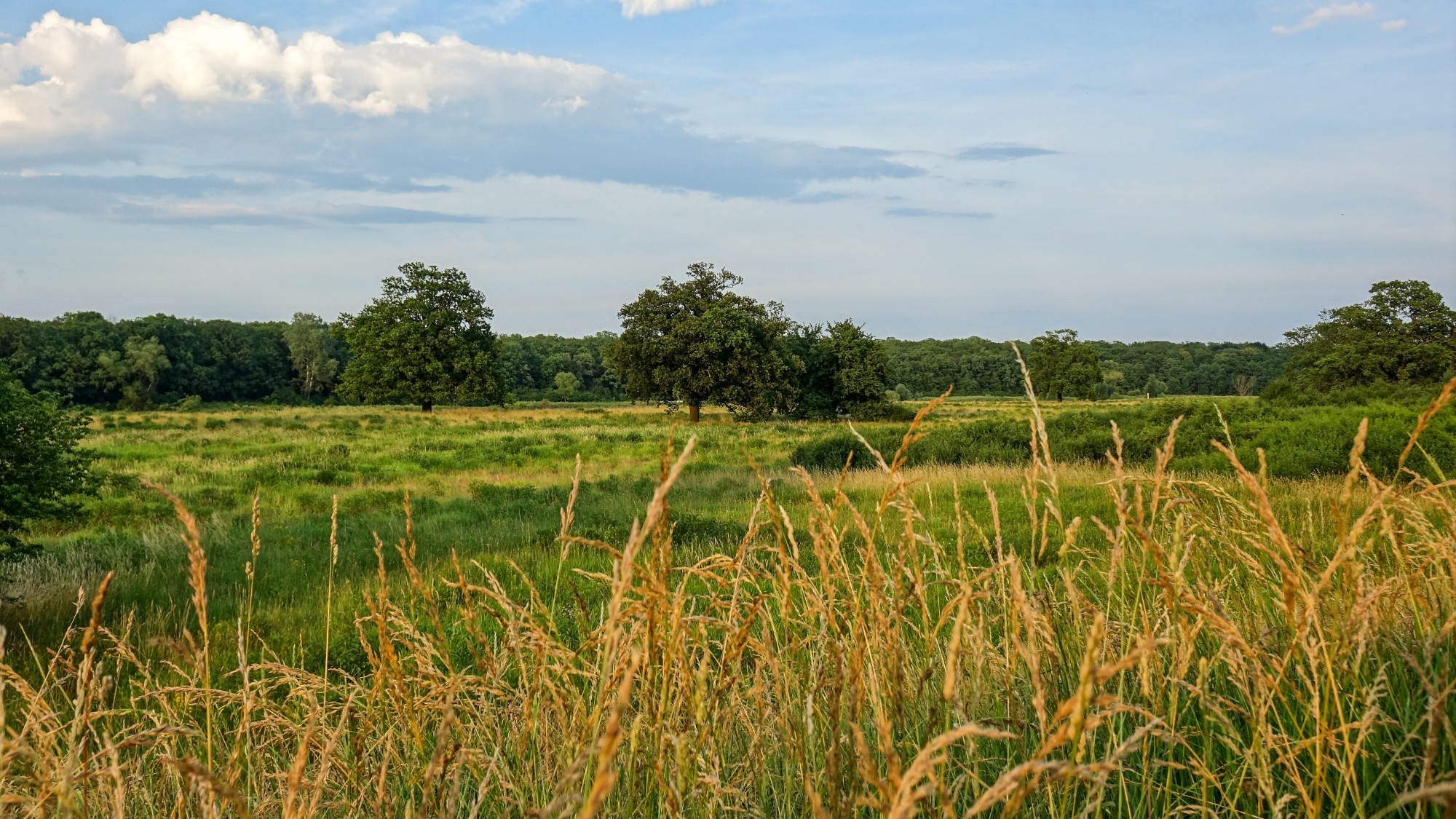 Czerwiec w obiektywie - zdjęcie 10