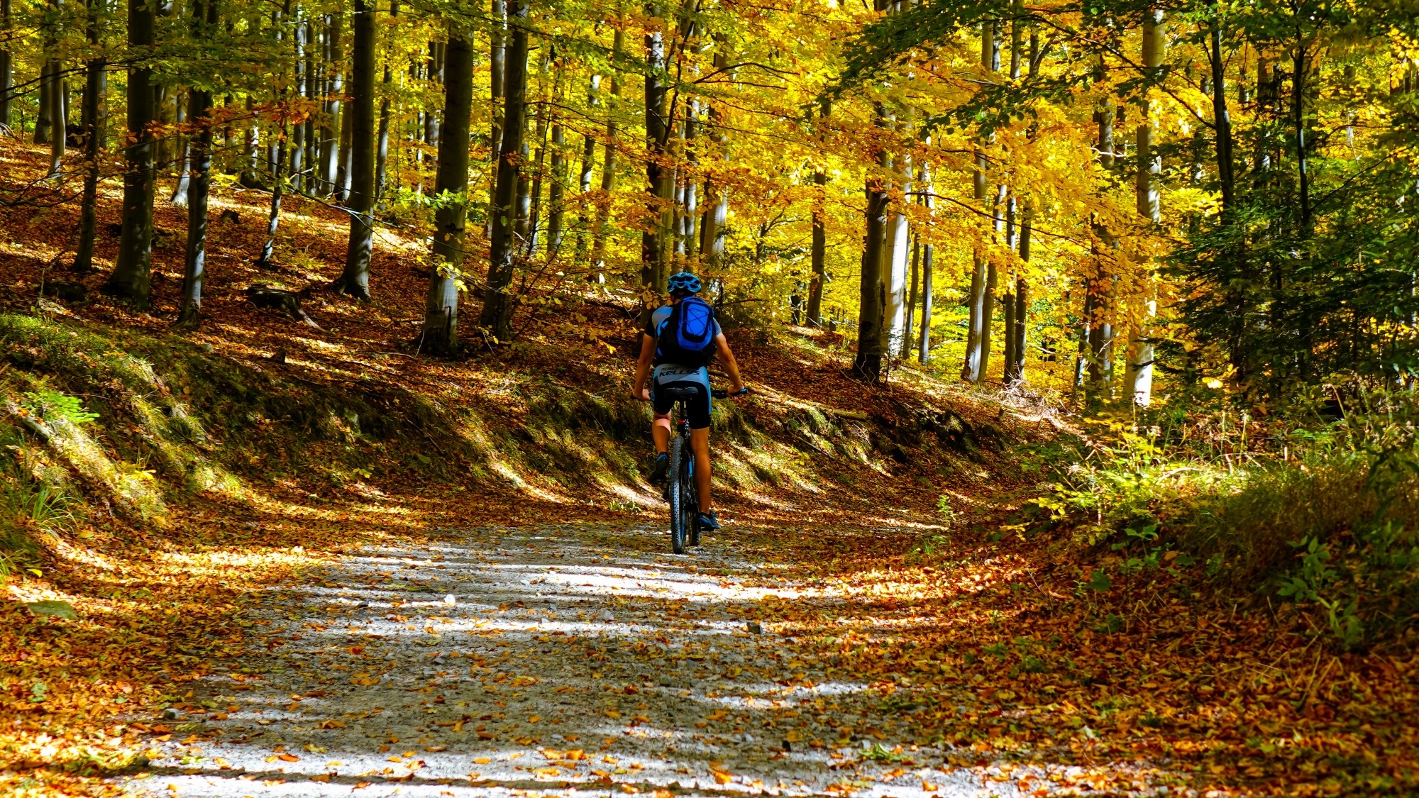 Kraina jesieni - zdjęcie 32