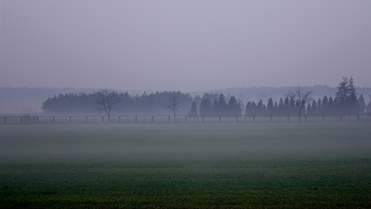 Styczeń w obiektywie - zdjęcie 34