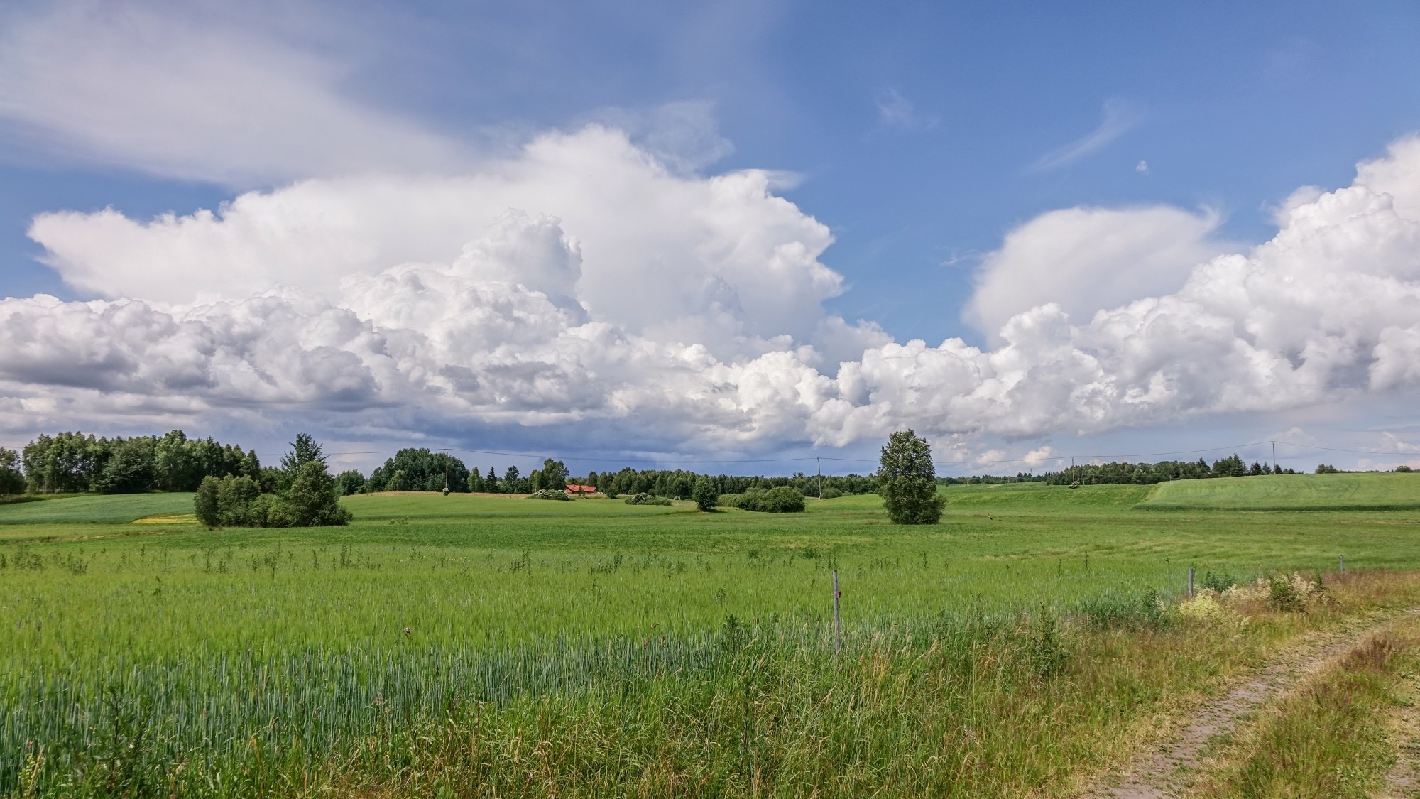Mazury wiosną - zdjęcie 19