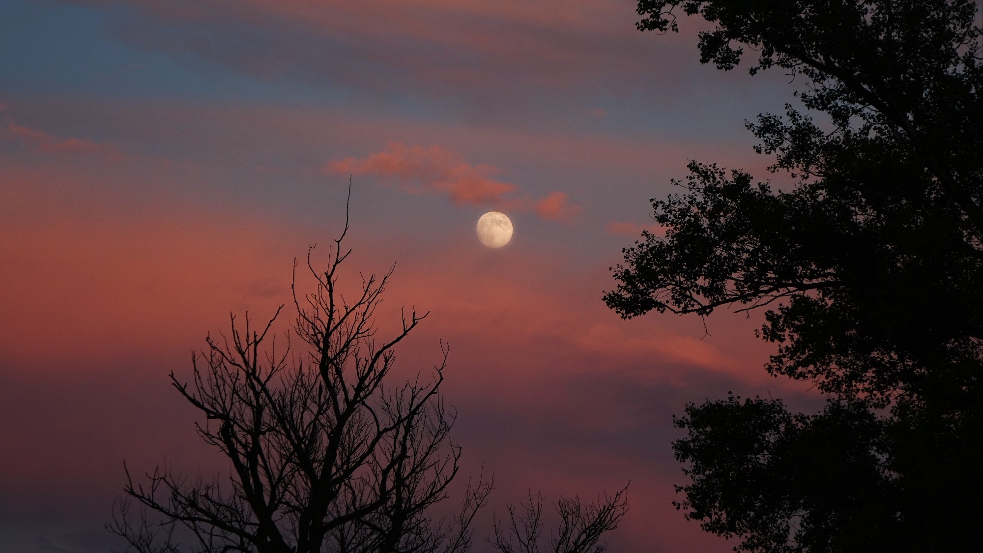 Wakacyjne podróże - zdjęcie 12