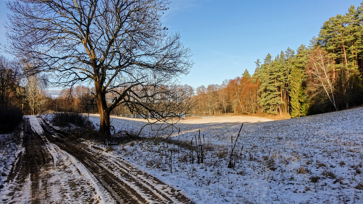 Minione zimy w Polsce - zdjęcie 25