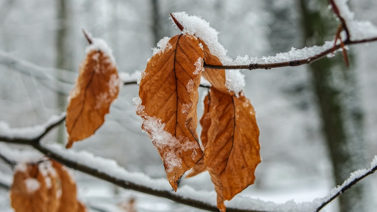 Minione zimy w Polsce - zdjęcie 29