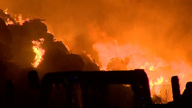 13 dzieci zginęło w pożarze sierocińca. Strażacy przyjechali półtorej godziny później