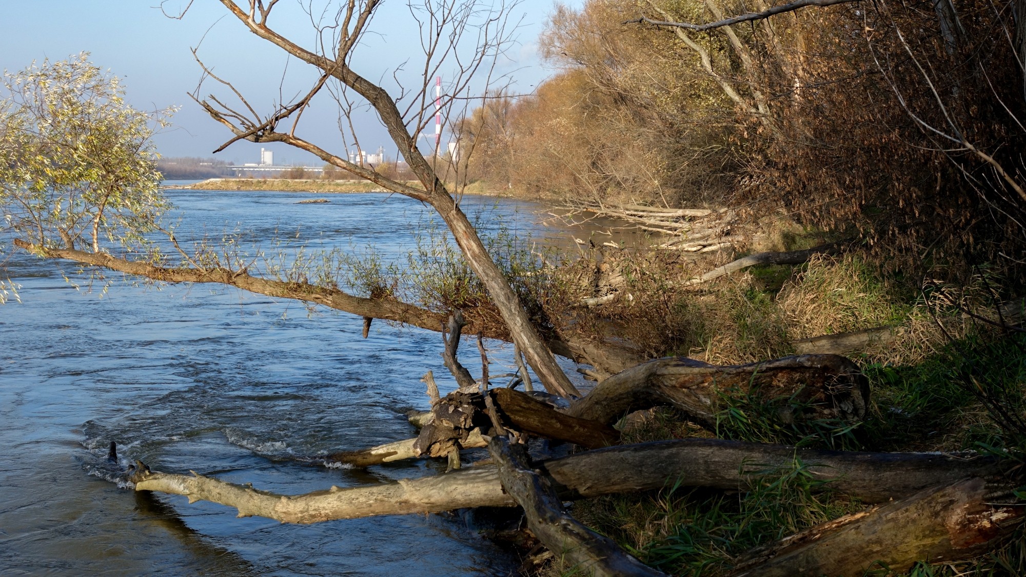 Wypoczynek nad wodą - zdjęcie 51