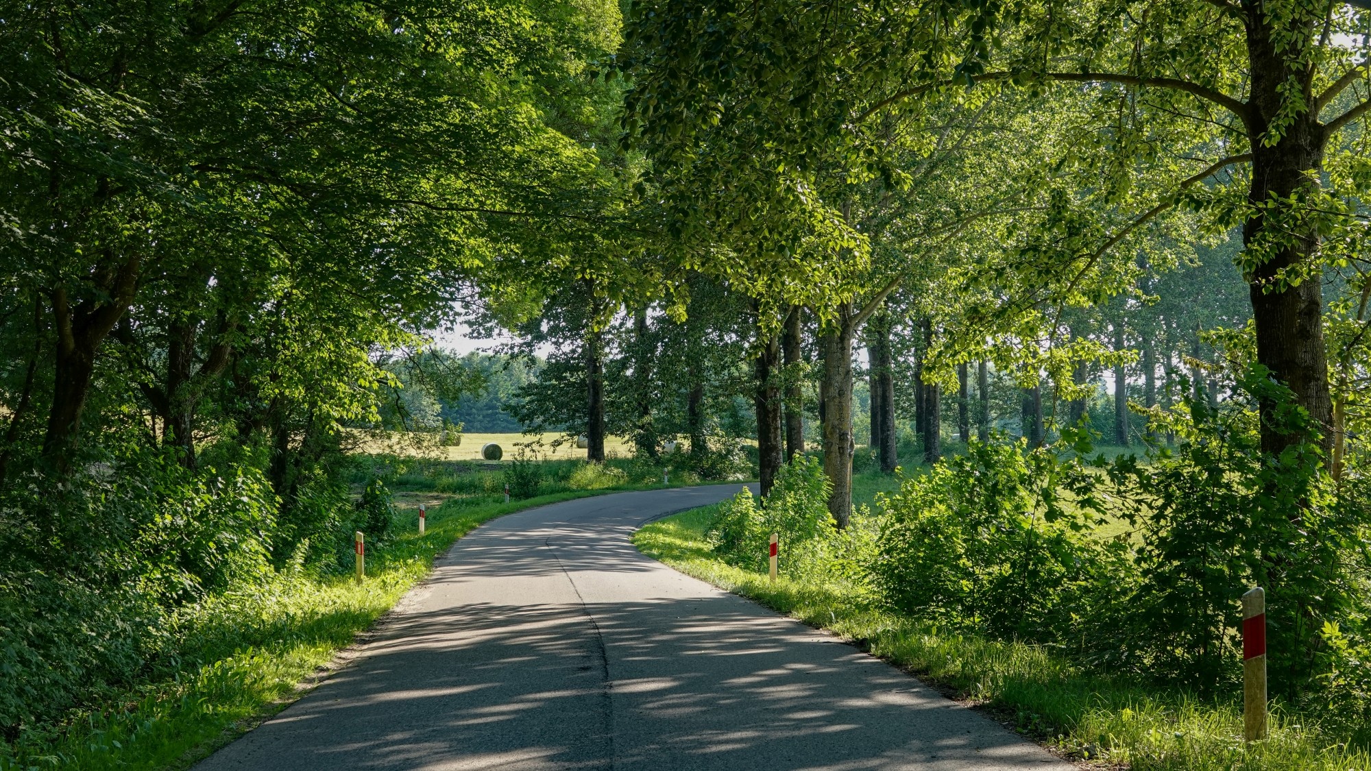 Letnie klimaty na łonie natury - zdjęcie 16