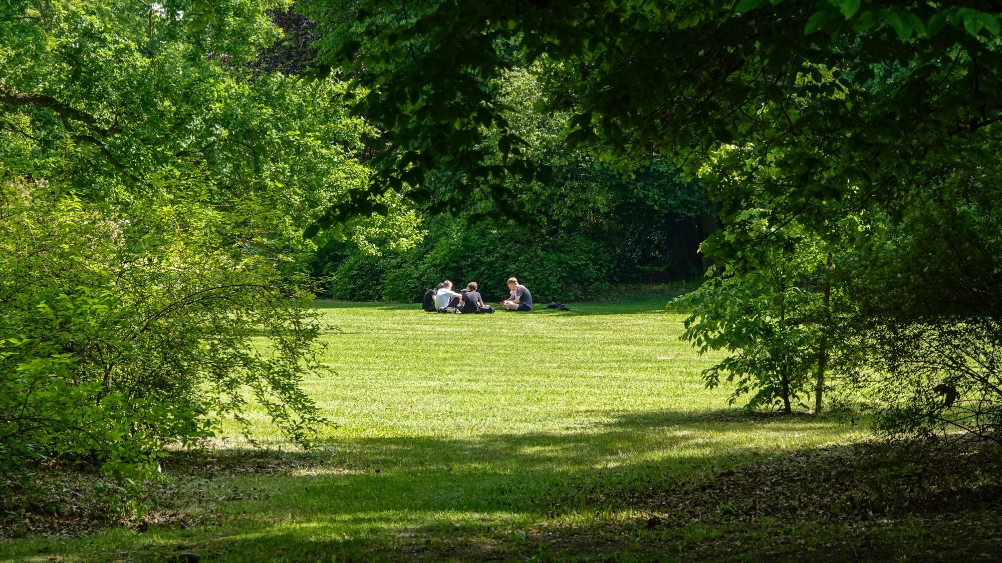 Uroki zielonej pory roku - zdjęcie 43