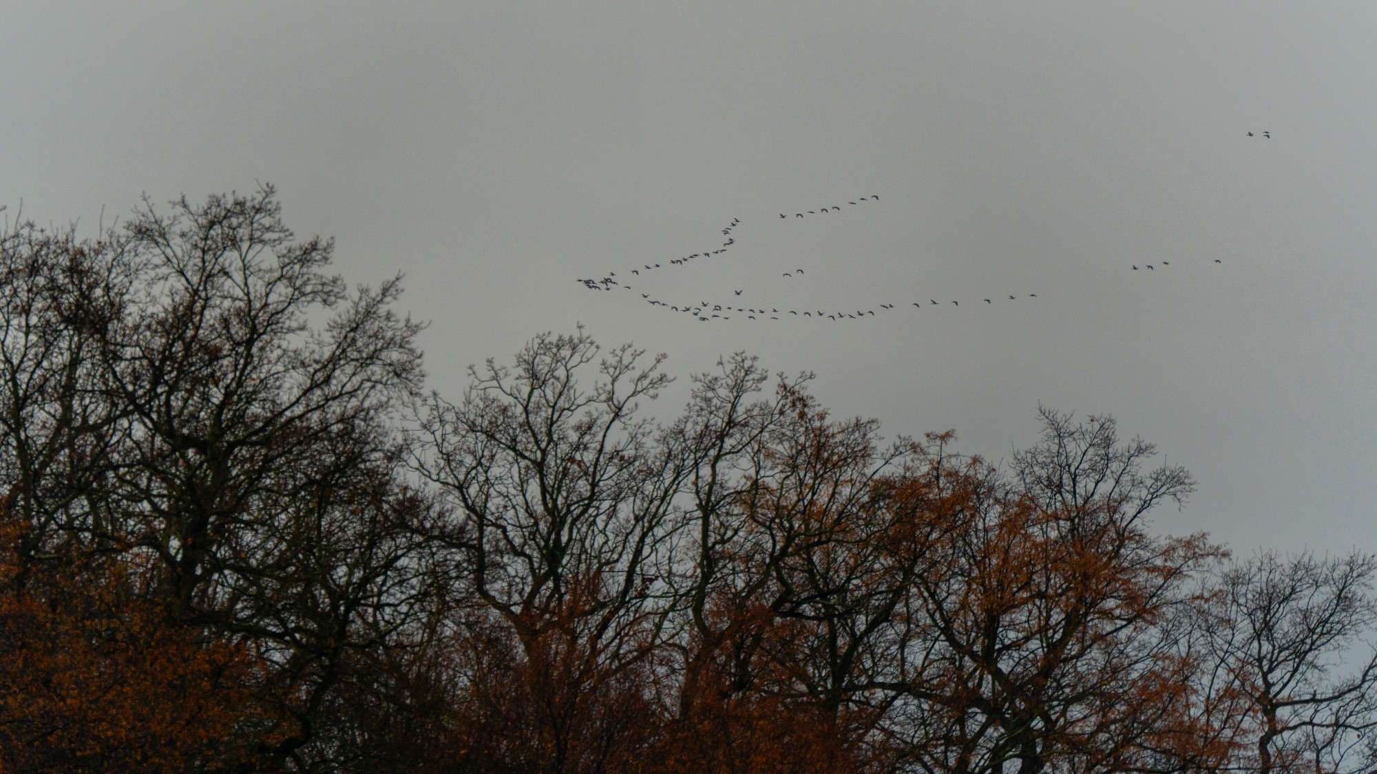 Różne oblicza zimy - zdjęcie 27