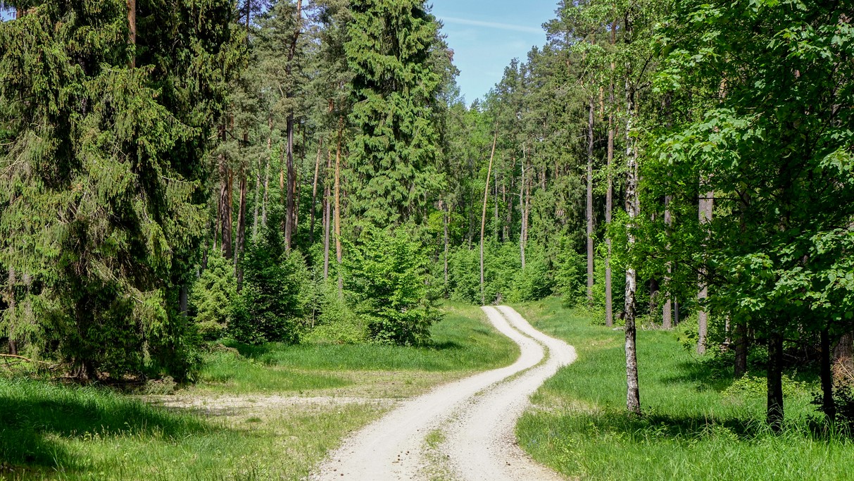 Najpiękniejsze polskie drogi - zdjęcie 10