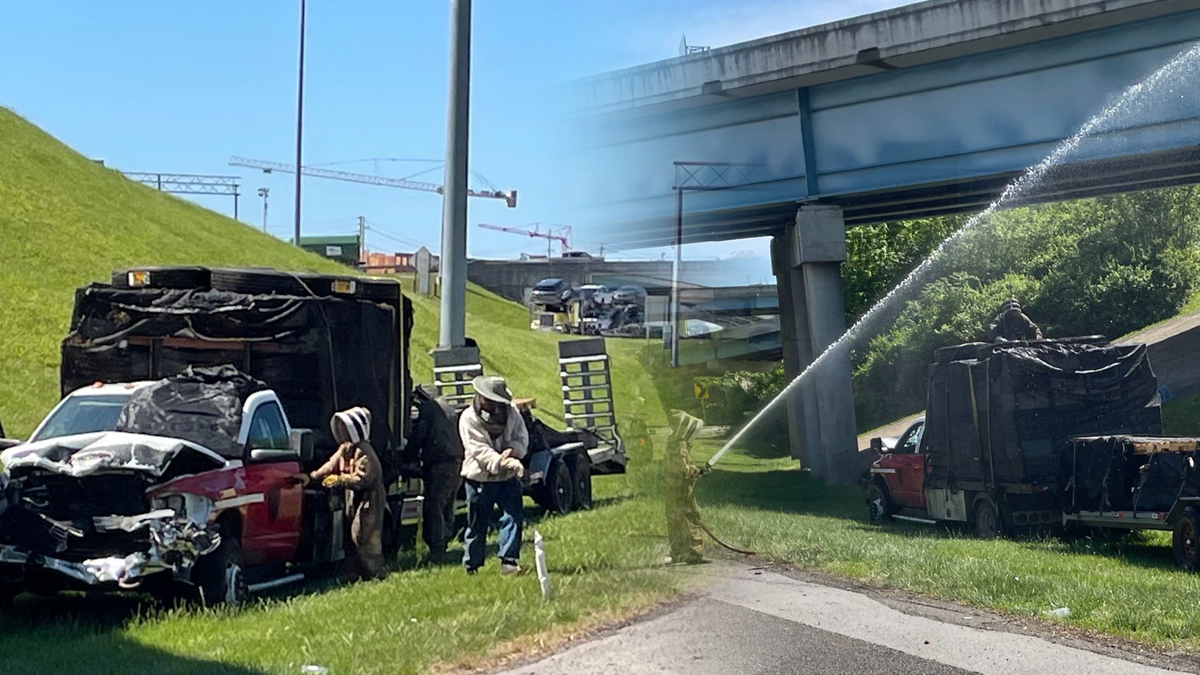 Wypadek ciężarówki przewożącej pszczoły na poboczu autostrady I-40 w stanie Tennessee, widoczne uszkodzone pojazdy i osoby w strojach ochronnych.