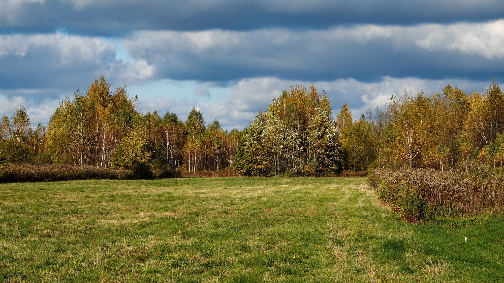 Wszystkie barwy jesieni - zdjęcie 12