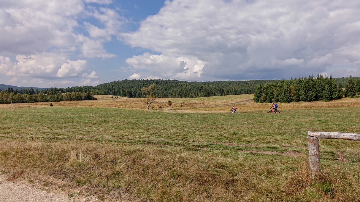 Uroki końca lata - zdjęcie 27