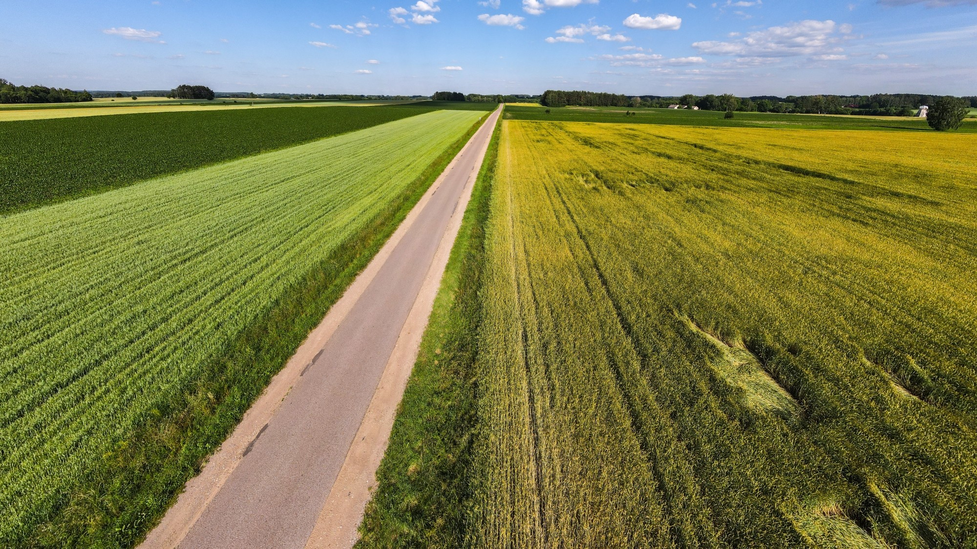 Piękne letnie krajobrazy z lotu ptaka - zdjęcie 24