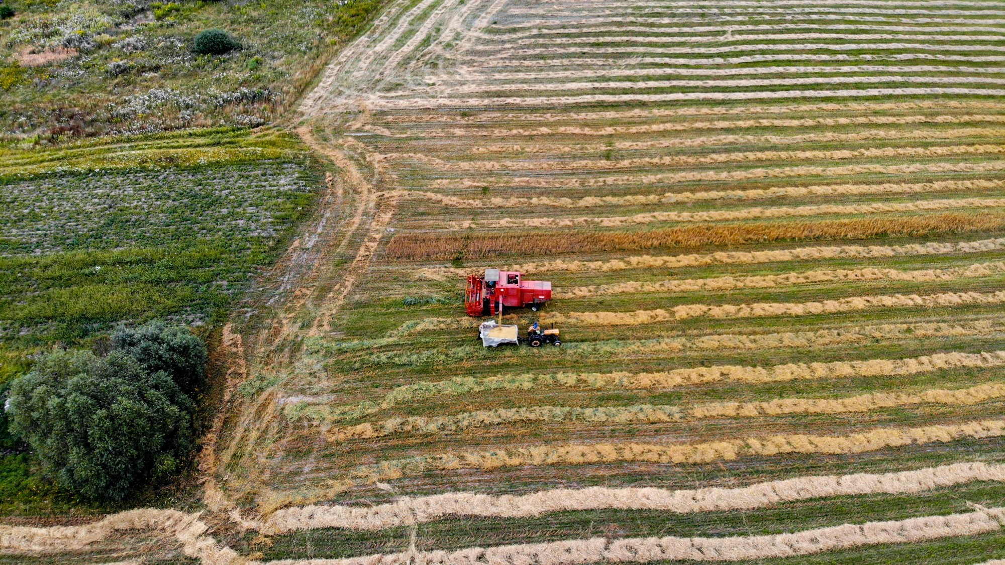 Niesamowita Polska z lotu ptaka - zdjęcie 7