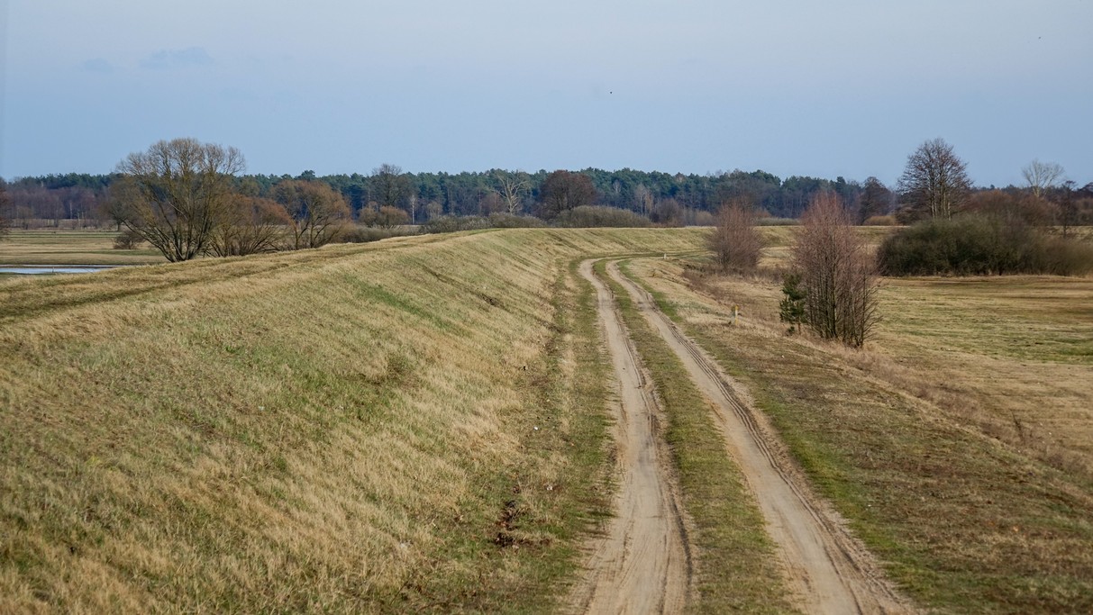 Marzec w obiektywie - zdjęcie 52