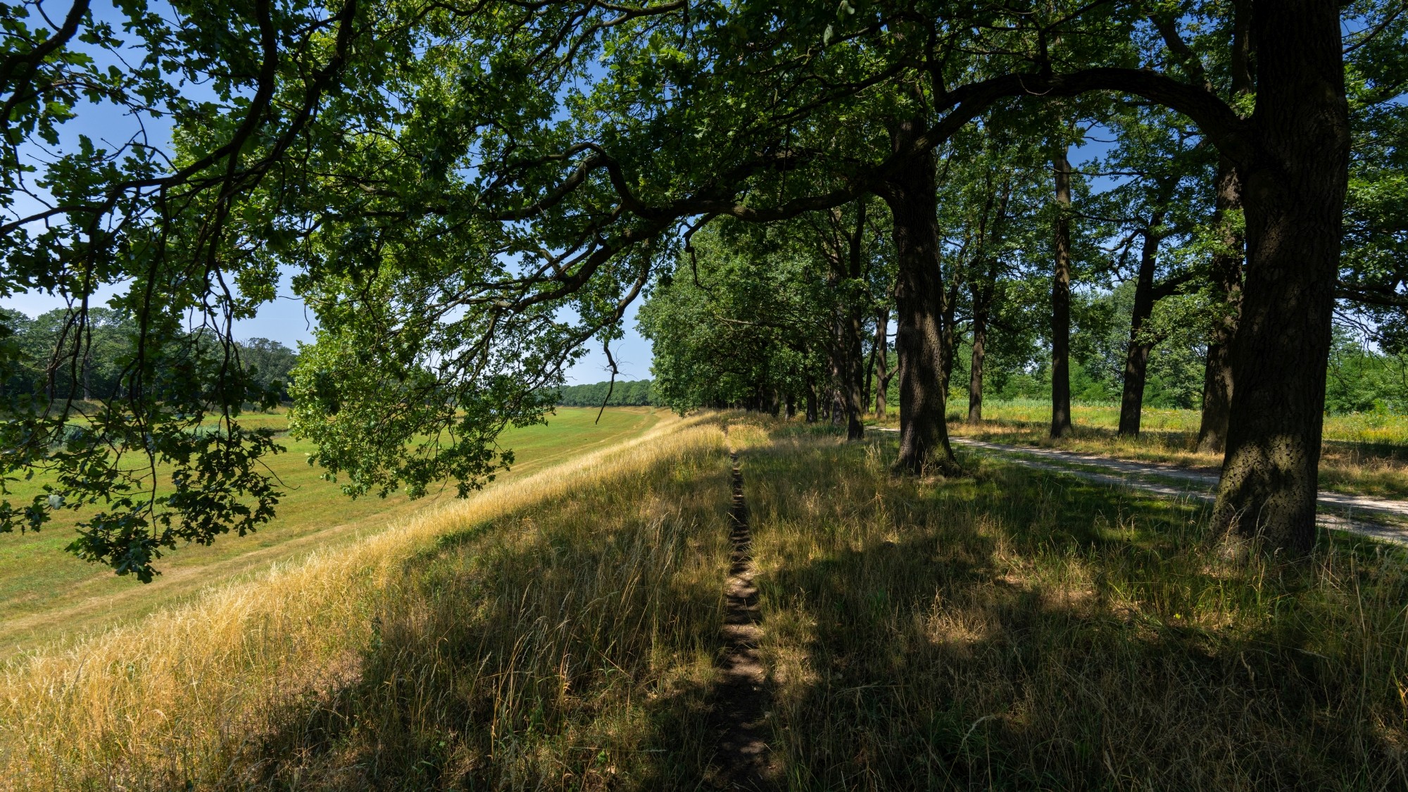 Kolory lata - zdjęcie 19