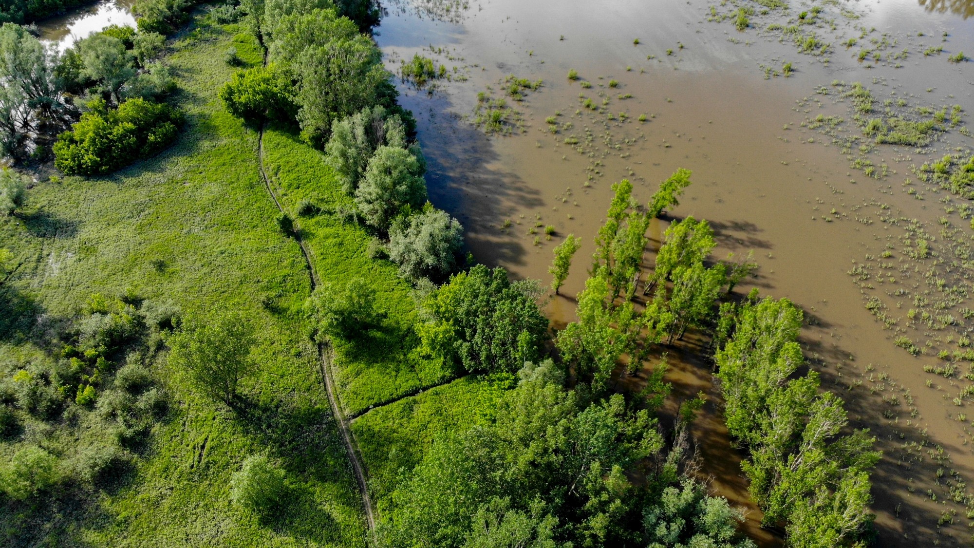 Niesamowita Polska z lotu ptaka - zdjęcie 41