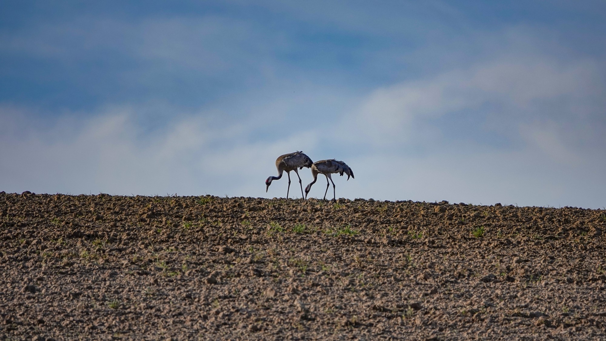 W maju jak w raju - zdjęcie 28