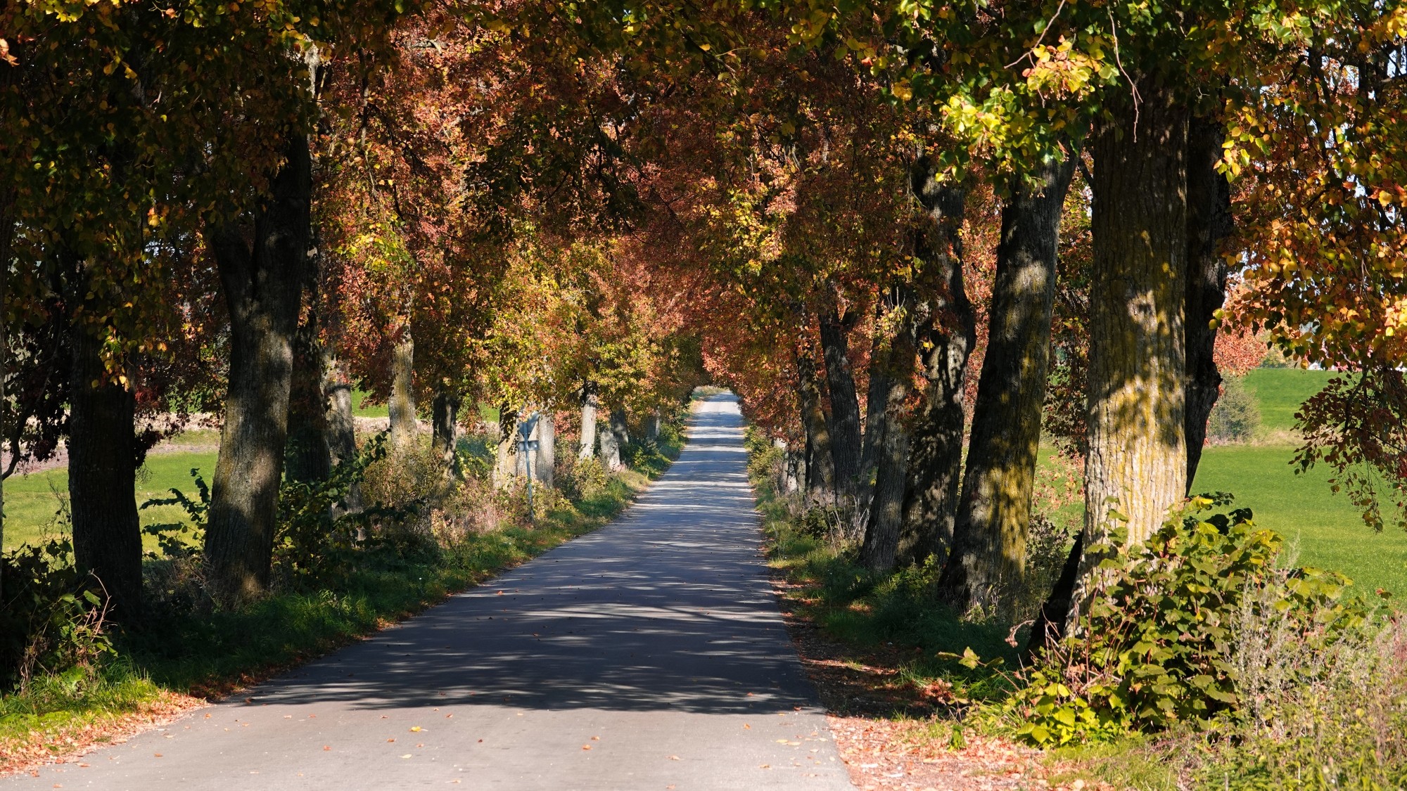 Jesienne klimaty - zdjęcie 42