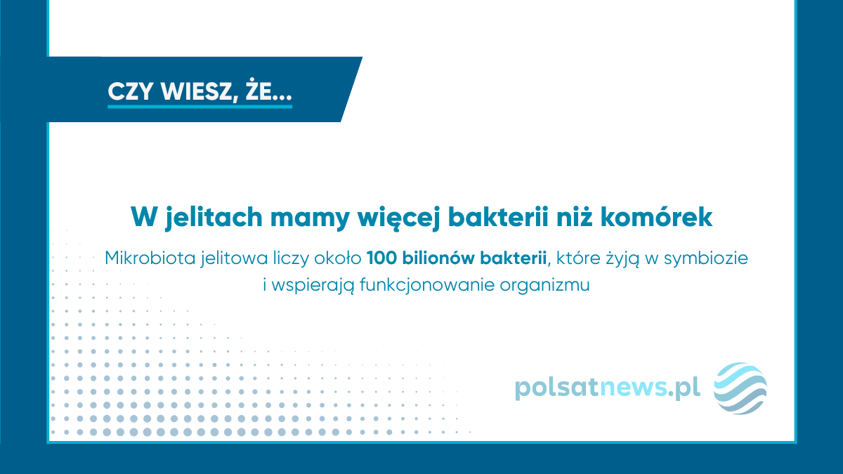Mikrobiota jelitowa może wpływać na funkcje poznawcze