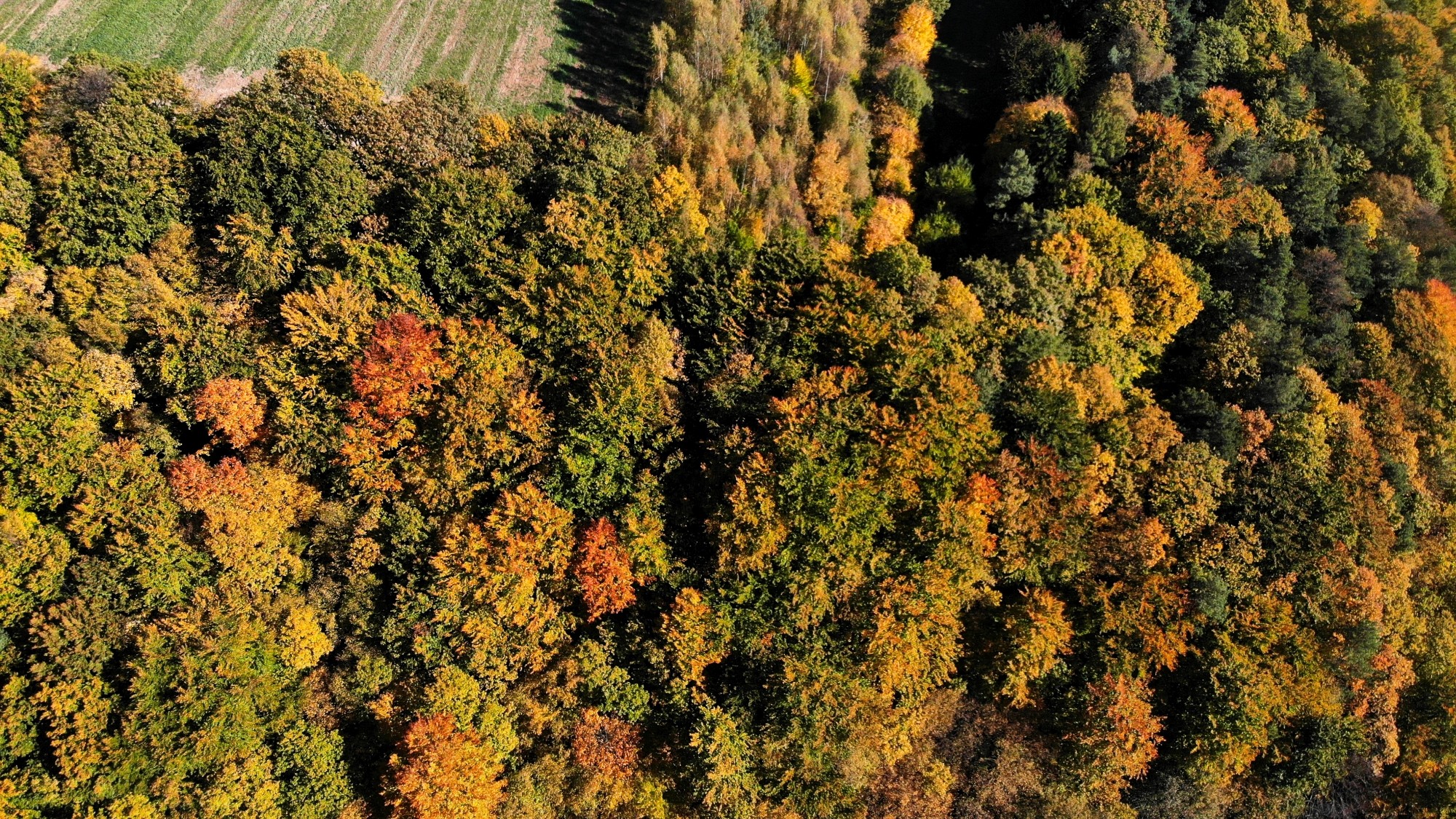 Jesień w górach z lotu ptaka - zdjęcie 20