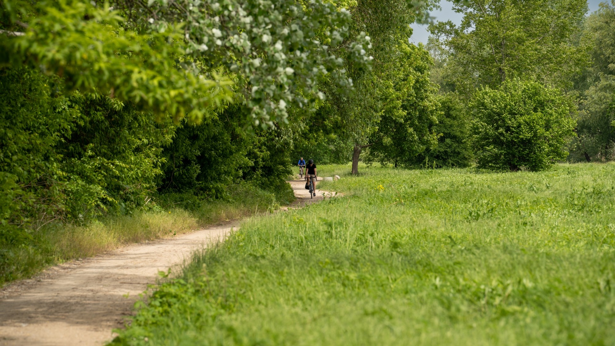 Lato na prowincji - zdjęcie 48