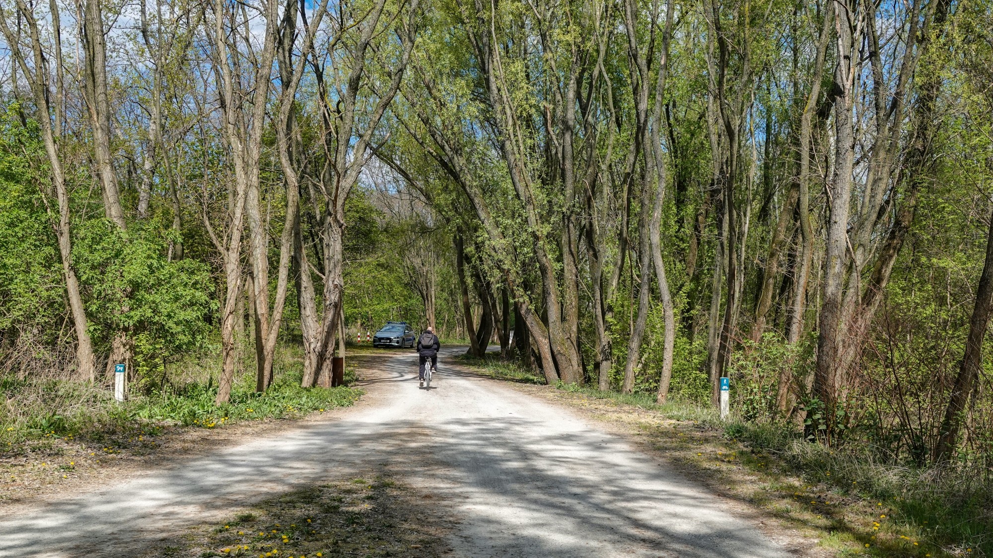 Kwiecień w obiektywie - zdjęcie 26