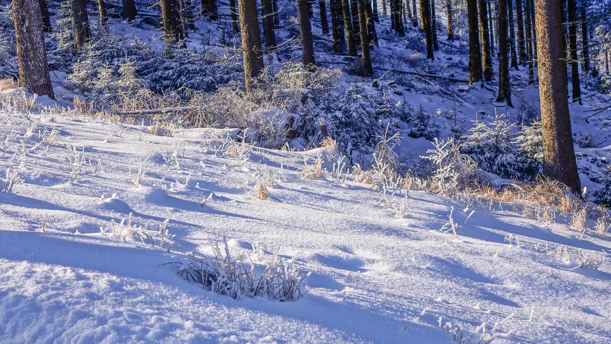 Luty w obiektywie - zdjęcie 28