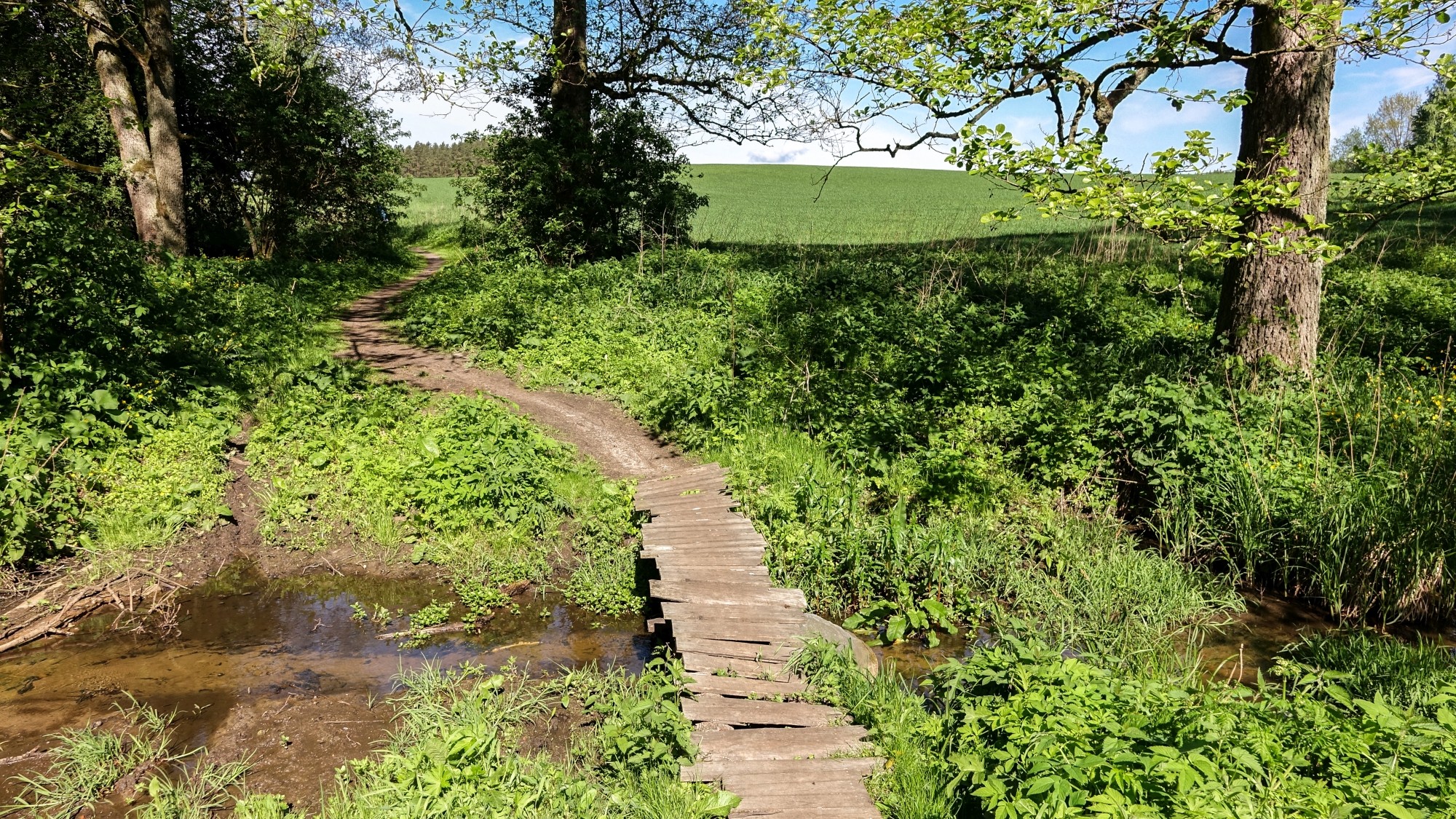 Mazury wiosną - zdjęcie 25