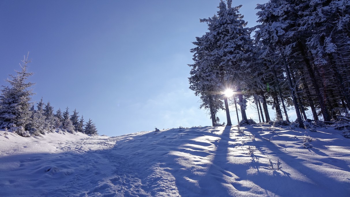 Luty w obiektywie - zdjęcie 46