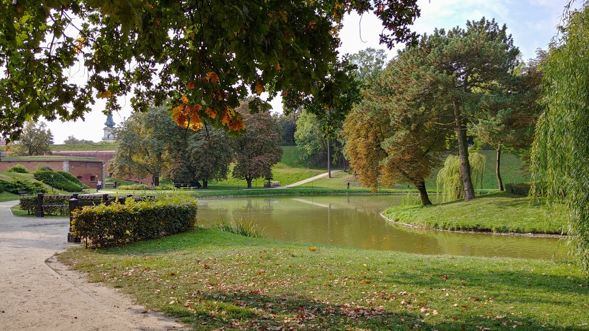 Uroki końca lata - zdjęcie 28