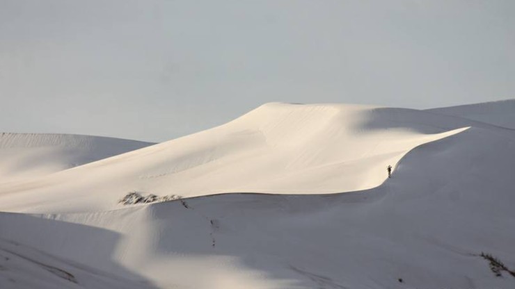 Śnieg na pustyni. Sahara pokryła się białym puchem