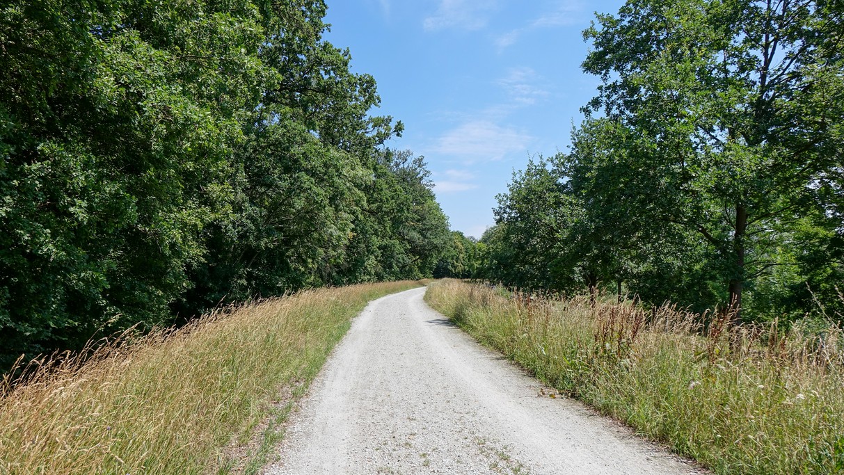 Czerwiec w obiektywie - zdjęcie 47