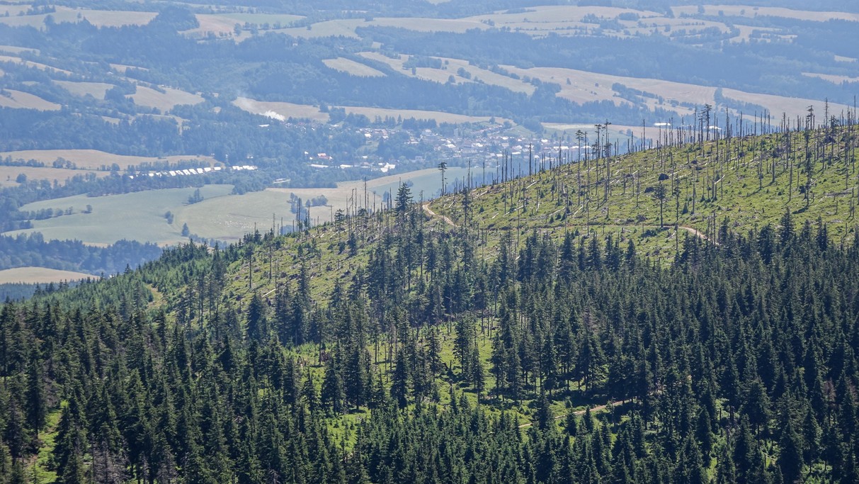 Piękno polskich gór - zdjęcie 29