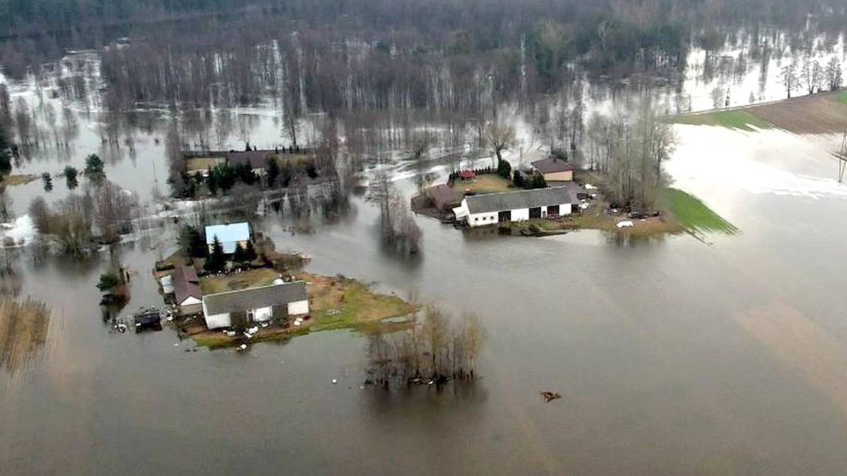 Powódź roztopowa w rejonie Wyszkowa na Mazowszu. Fot. Polsat News.