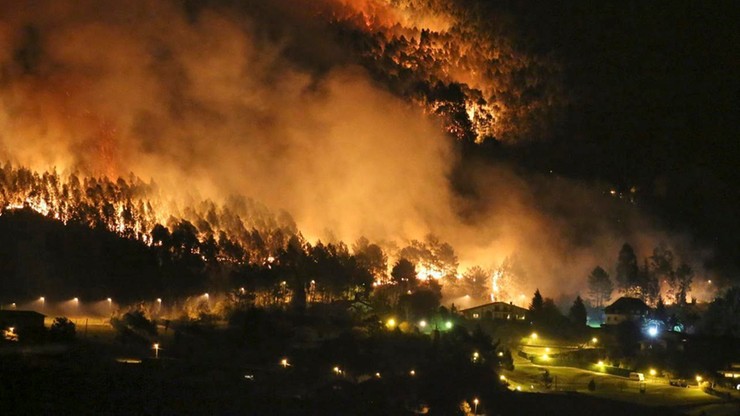 Hiszpania: strażacy walczą z blisko 120 pożarami lasów