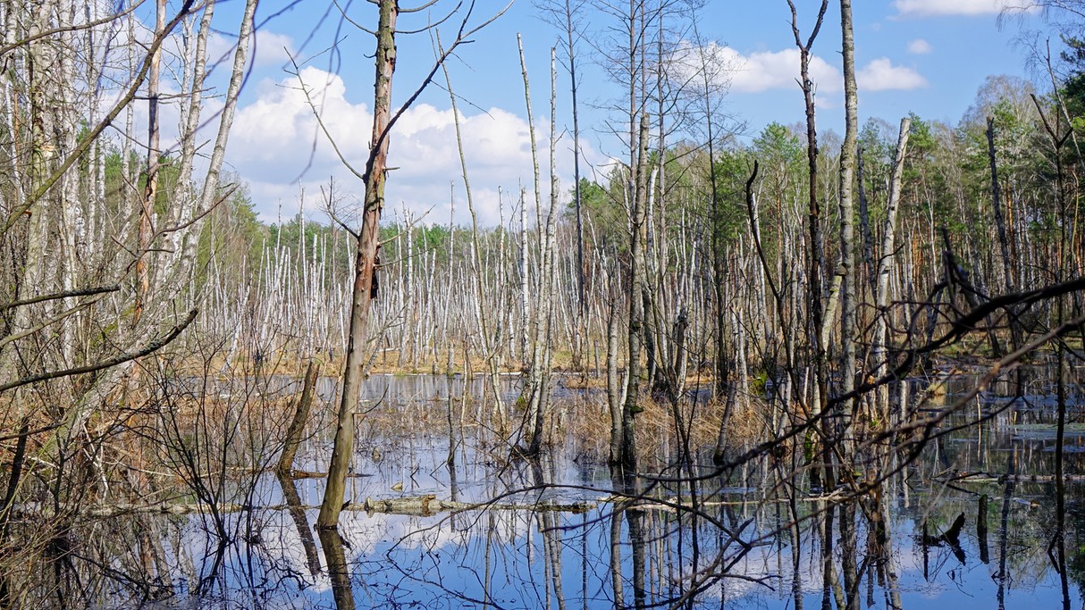 Kwiecień w obiektywie - zdjęcie 48