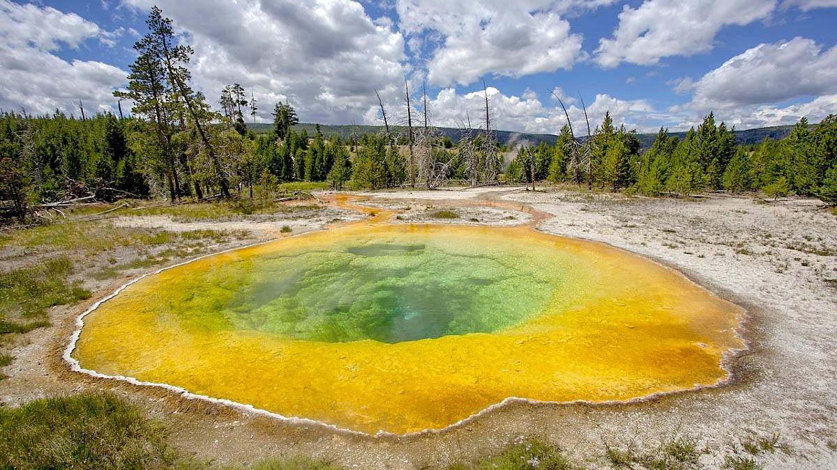 Gejzer w Parku Narodowym Yellowstone. Fot. Pixabay.